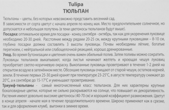 Тюльпан Триумф Гранд Перфекшн, 3 шт