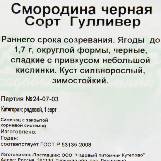 Смородина чёрная С2 «Гуливер» h40