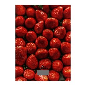 Кухонные весы Добрыня 3011S