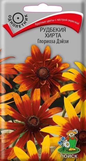 Семена цветов Поиск рудбекия хирта Глориоза Дэйзи