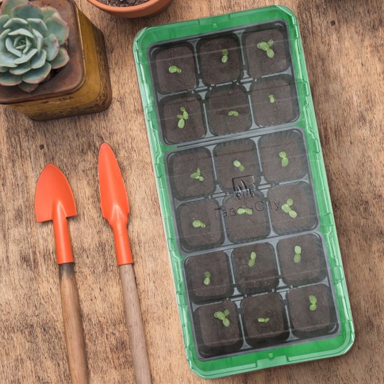 Мини парник 18 ячеек 3 вставки зелёный
