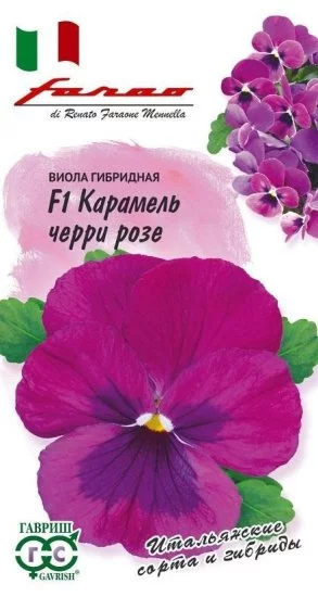 Семена цветов Гавриш Фарао виола Карамель Черри Розе 7 шт.
