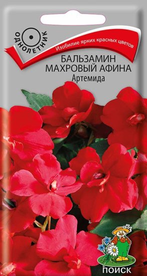 Семена цветов Поиск бальзамин махровый Афина Артемида