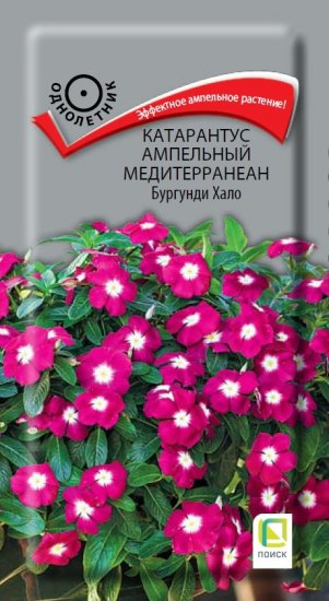 Семена цветов Поиск катарантус ампельный Медитерранеан Бургунди Хало