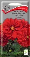 Семена цветов Поиск георгина низкорослая Барокко красный