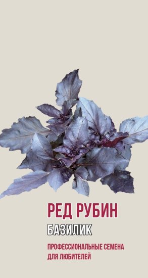 Семена трав базилик Ред Рубин