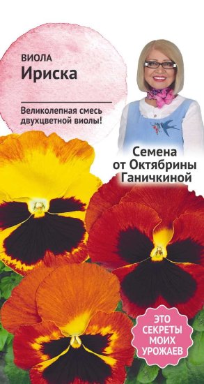 Семена цветов Аэлита виола Ириска