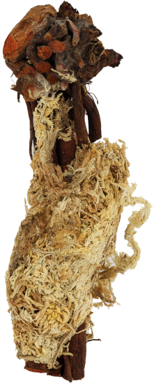 Микс травянистых пионов, в тубе