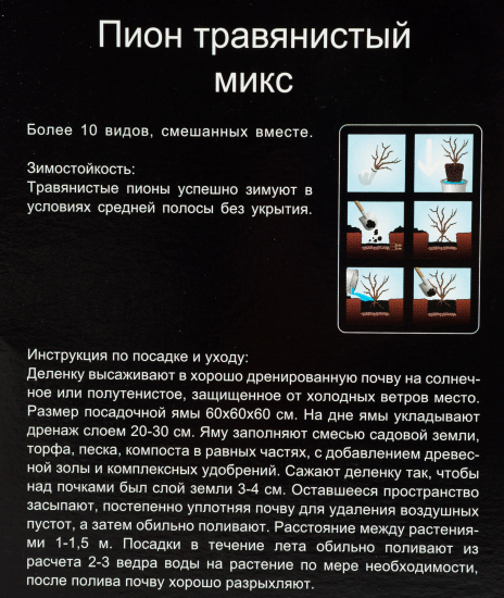 Микс травянистых пионов, в тубе