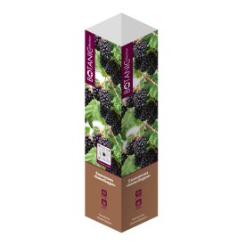 Ежемалина микс туба h20 см