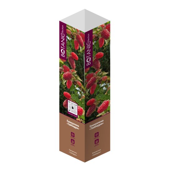 Ежемалина микс туба h20 см