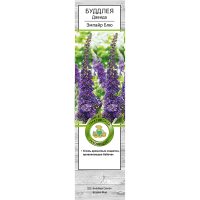 Буддлея Давида Эмпайр Блю h39 см