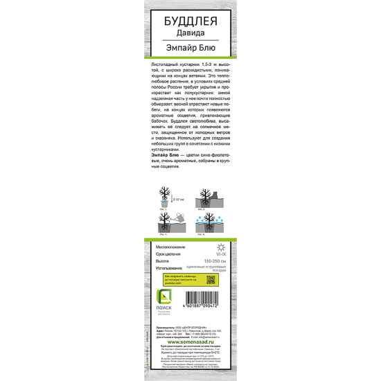 Буддлея Давида Эмпайр Блю h39 см