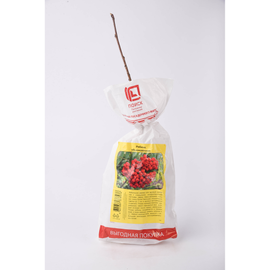 Рябина Обыкновенная пакет h39 см