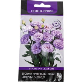 Семена Агрохолдинг ПОИСК 808343