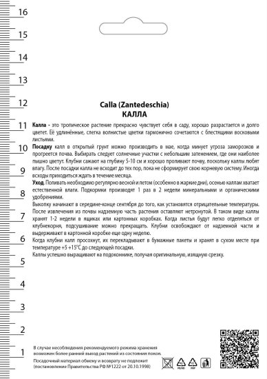 Калла Санклаб 14/16, 1 шт
