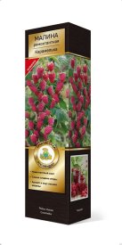 Малина ремонтантная Карамелька h37 см