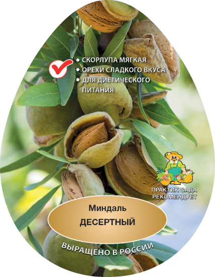 Миндаль Десертный h200 см в сетке Поиск Инвест
