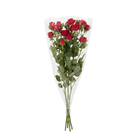 Букет Роза в ассортименте 3 шт.