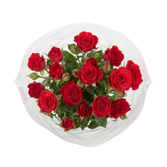 Букет Роза в ассортименте 3 шт.