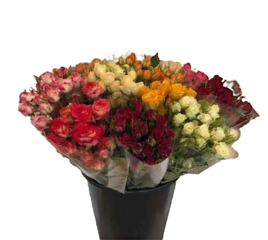 Букет Роза в ассортименте 3 шт.