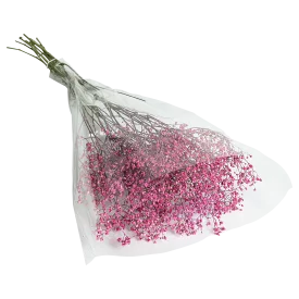 Букет Гипсофила 5 шт.