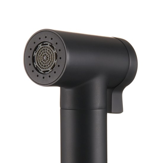 Лейка гигиеническая Corsa Deco двухрежимная черная (HS001B)