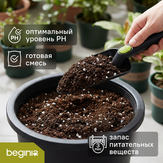 Грунт BEGINIA для суккулентов 5 л