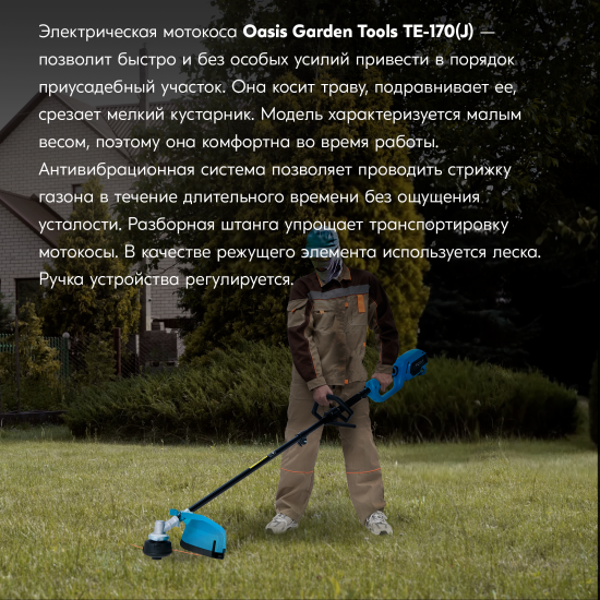 Мотокоса электрическая Oasis Garden TE-170(J) 1700 Вт