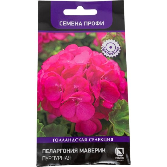 Пеларгония маверик Агрохолдинг ПОИСК Пурпурная