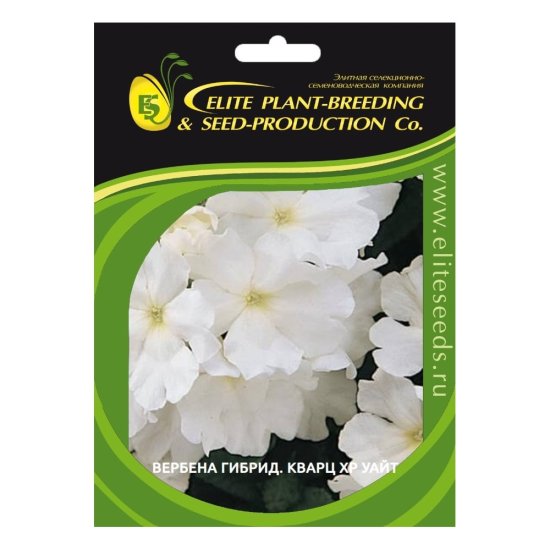 Семена ELITE PLANT-BREEDING & SEED PRODUCTION Co. Вербена гибридная кварц xp уайт