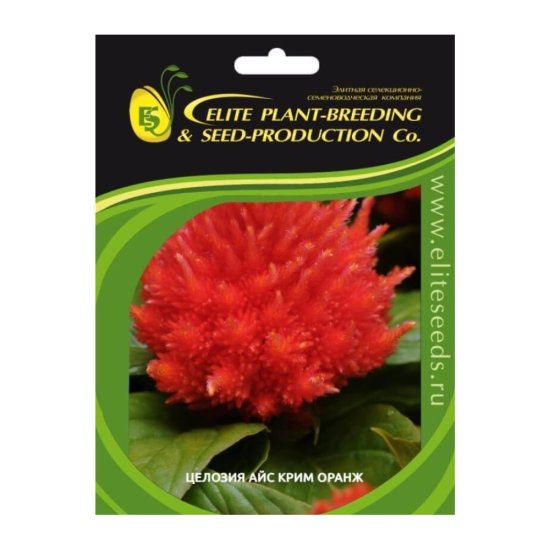 Целозия перистая ELITE PLANT-BREEDING & SEED PRODUCTION Co. Айс Крим Оранж