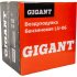 Бензиновая воздуходувка Gigant LU-06