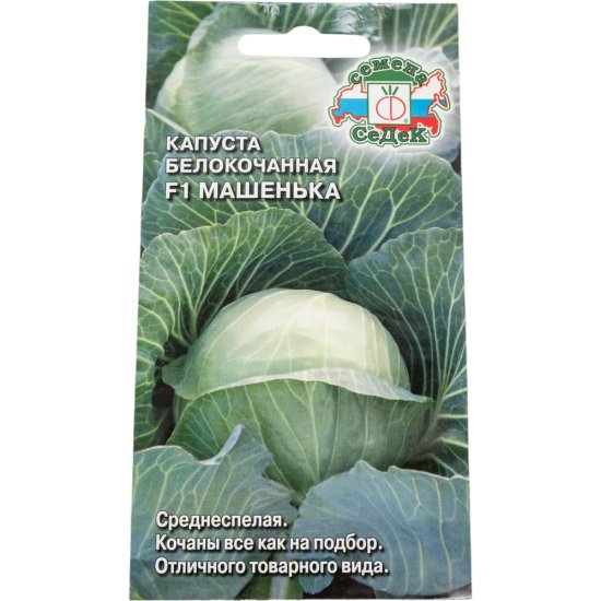 Семена СеДек 15388