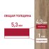 Плитка кварцвиниловая Corsa Deco Laguna B200 замковая 2,6309 кв.м 5,3 мм с фаской с подложкой IXPE