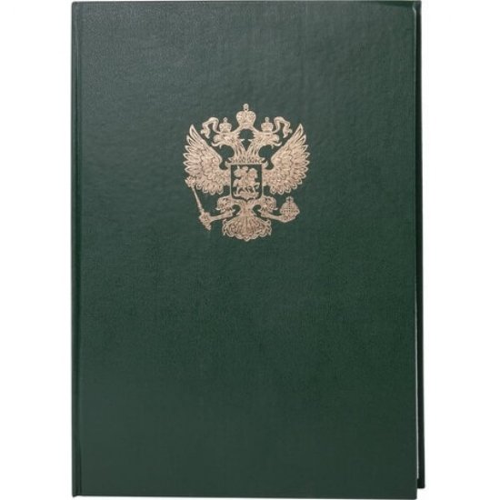 Книга учета BRAUBERG 130277