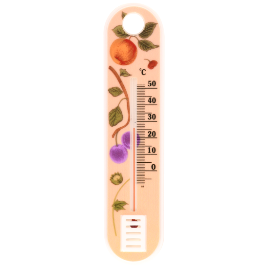 Термометр бытовой 1-2 Pro