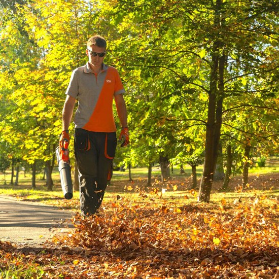 Воздуходувка аккумуляторная ручная Daewoo 21 В Li-Ion 1 АКБ и ЗУ (DABL 5521Li SET)
