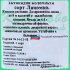 Актинидия коломикта С2 «Лакомка» h15