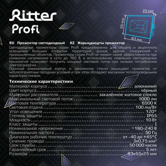 Прожектор светодиодный Ritter Profi 6500K 10 Вт IP65 черный