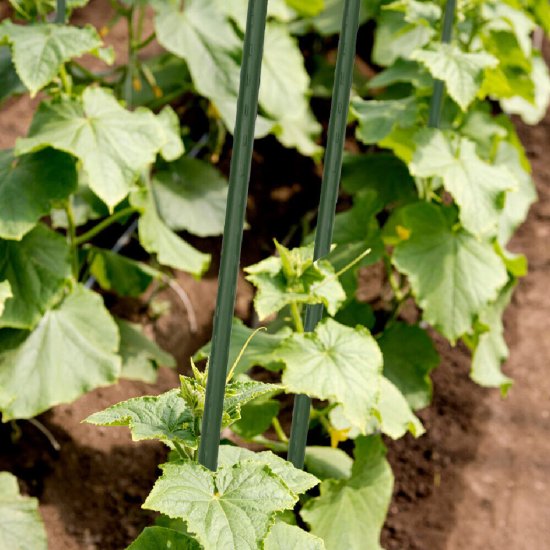 Опора для растений Garden Show металлическая 750 мм (266436)