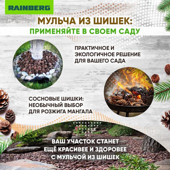 Шишка сосновая декоративная Rainberg 60 л