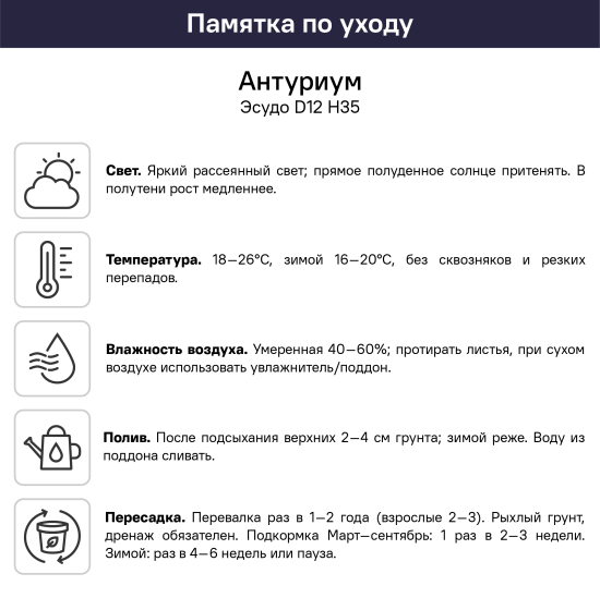 Антуриум Эскудо ø12 h35 см