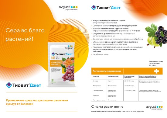 Сера Avgust Тиовит Джет для защиты от болезней 30 г