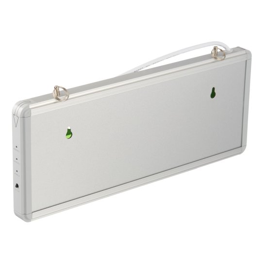 Табло световое аварийное Выход Эра SSA-1 6500К 3 Вт (SSA-101-1-20)