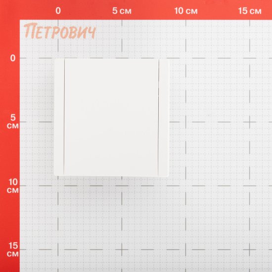 Розетка IEK Forte&Piano FP219 встраиваемая белая со шторками с крышкой (FP-R16-16-1-44-K01)