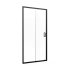 Душевая дверь Domani-Spa DoorCube стекло прозрачное 100х190 см профиль черный 5 мм раздвижная (DS04DCb100L0Cl00.Gt-Black)