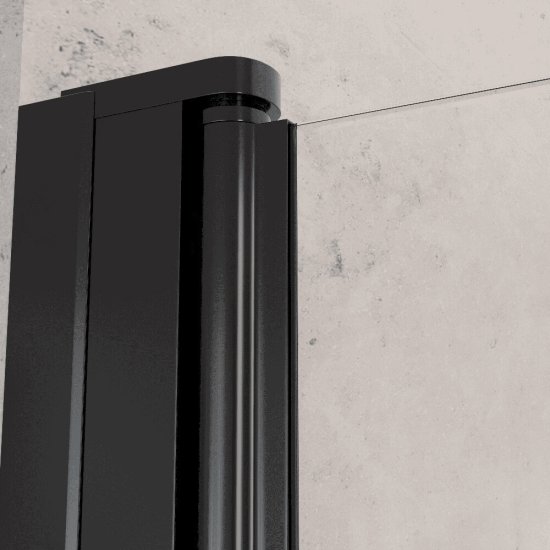 Душевая дверь Dolphin TN-03B стекло прозрачное 90х195 см профиль черный 6 мм распашная (54930309-14)