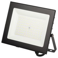 Прожектор светодиодный Эра LPR-062 6500K 70 Вт IP65 черный