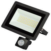 Прожектор светодиодный Эра LPR-042 6500K 50 Вт IP65 с датчиком движения черный
